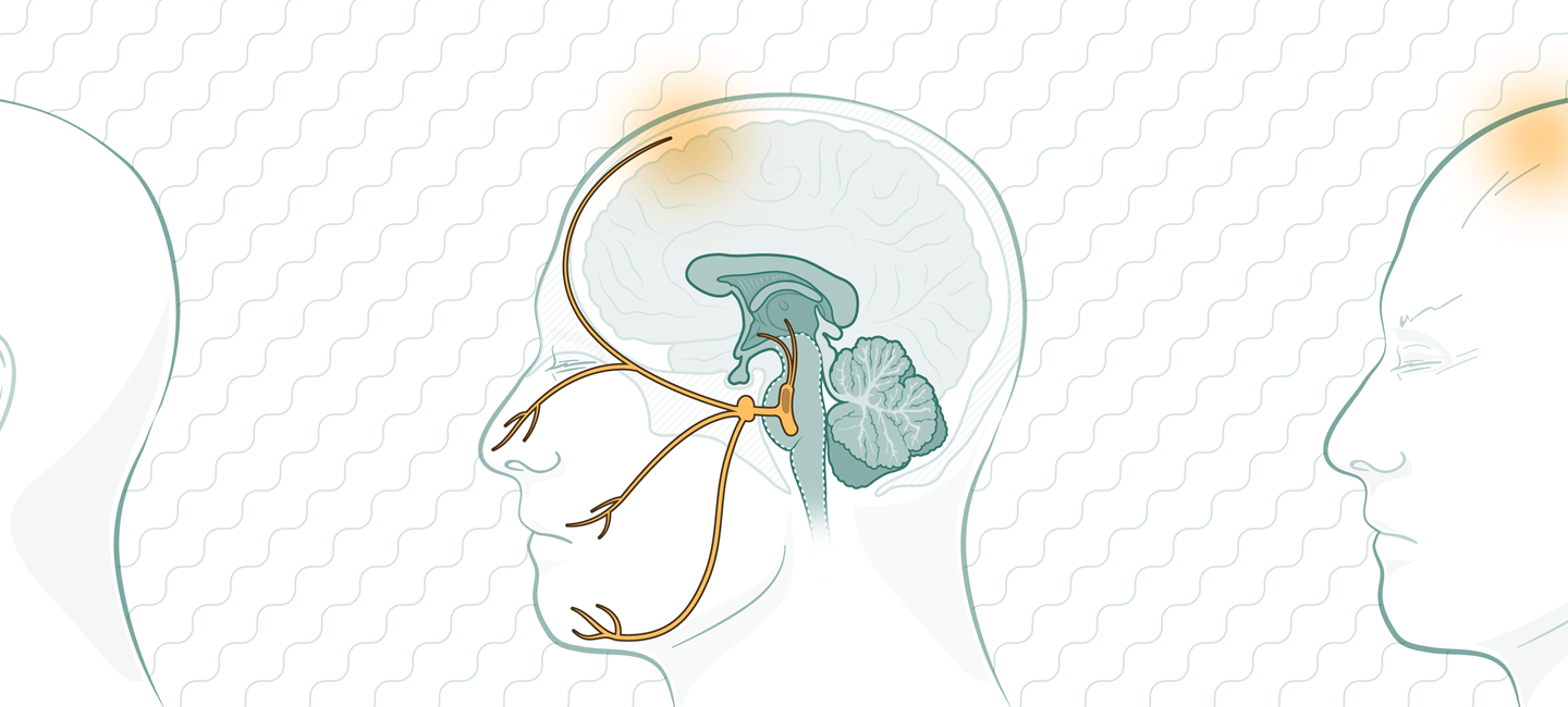 MPR602-Neurologybytes-March Monthly Article-Migraine Illustration-V01-00-20190315-Banner copy.png MPR602-Neurologybytes-March Monthly Article-Migraine Illustration-V01-00-20190315-Banner copy.png